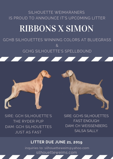 Ribbons & Simon Litter This Summer